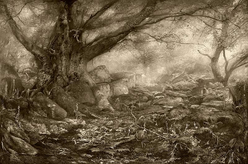 Corbyn Cup (Creative) - Longshaw Forest by Brian Beaney FRPS.jpg - Corbyn Cup (Creative) - Longshaw Forest by Brian Beaney FRPS